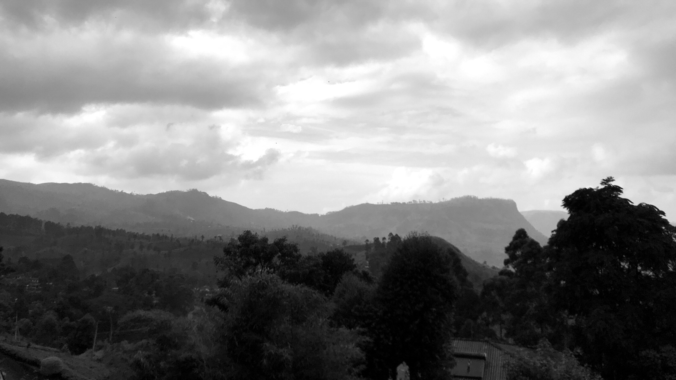 Gray Area